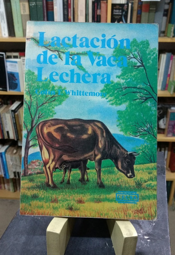 Lactación De La Vaca Lechera - Colin Whittemore