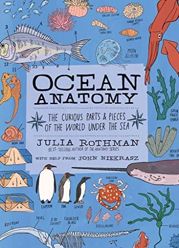 Ocean Anatomy: The Curious Parts & Pieces Of The World Under The Sea, De Rothman, Julia. Editorial Storey Publishing, Llc, Tapa Blanda En Inglés