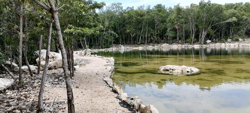 528 Tulum, Tulum, Quintana Roo, Terrenos Residenciales Con Cenote Propio