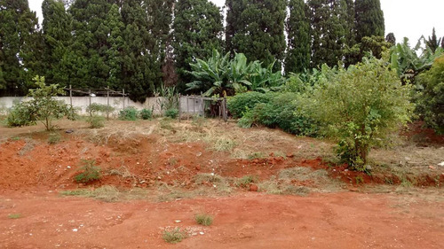 Imagem 12 de 14 de Área Para Posto De Gasolina - Suzano/sp