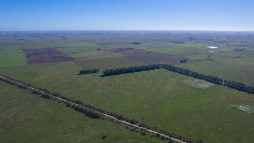 Campo En Venta Mixto 188ha San Andres De Giles