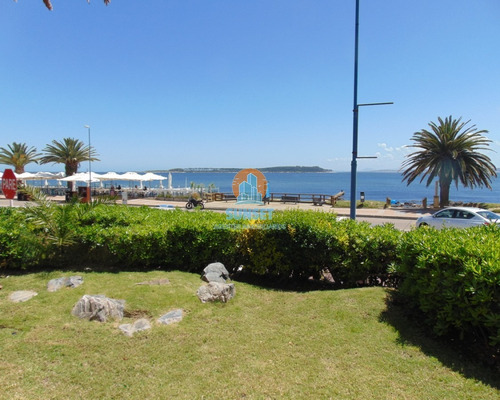 Punta Del Este Peninsula 3 Suites Apto Con Jardin 500 Metros!!! Alquiler Anual - Ref: 260