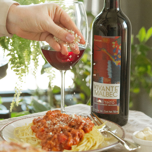 Vino Tinto Vivante Malbec 750ml