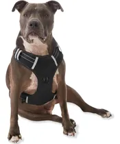 Comprar Arnés Cómodo Sin Tirones Para Perros Pequeños Y Grandes, Med