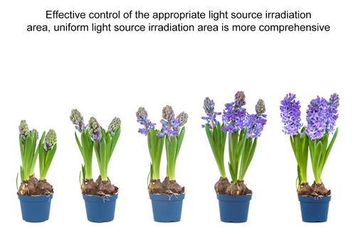 Lámpara De Crecimiento Led Roja Para Plantas Y Luces De Cult