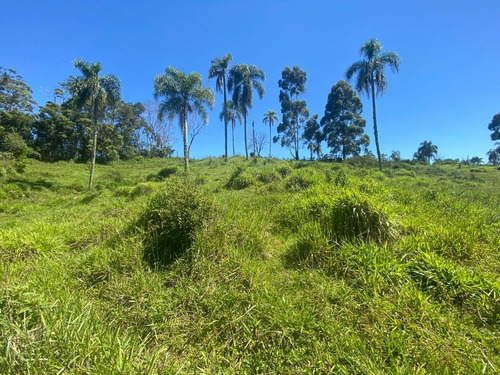 Imagem 23 de 30 de L30- Lotes Barato