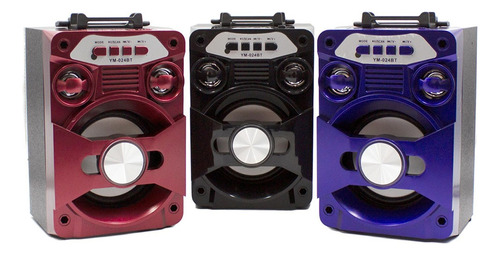 Bocina Bluetooth Recargable Radio Luz Led + Control Remoto