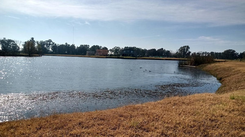 Imagen 2 de 13 de Oportunidad Lote Vista Al Lago Santa Isabel 3 Maschwitz Muy Cerca De Puertos Del Lago