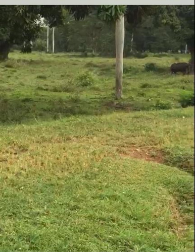 Te Vendo Excelente Finca En La Vega