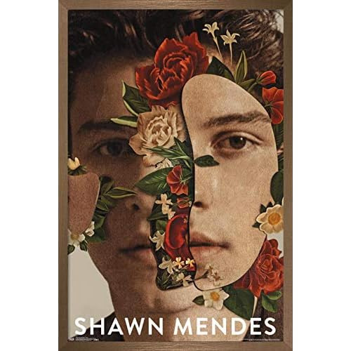 Póster De Pared   Shawn Mendes, 14.725  X 22.375 , Ver...