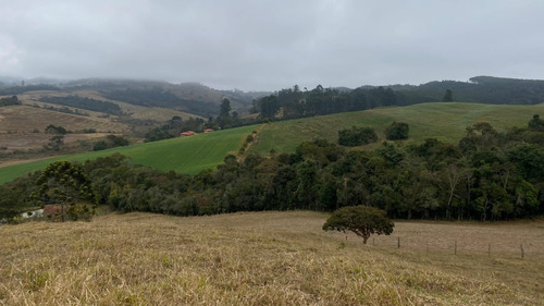 Venda Sítio - Pocinhos Do Rio Verde 72.000m2 (aceita Troca) Com Mina