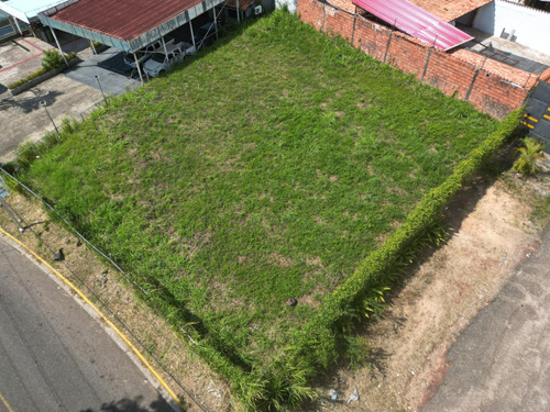 Lote De Terreno En Venta En El Democrata