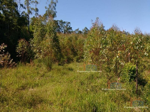 Ref.: 5467 - Area Em Pilar Do Sul Para Venda - V5467