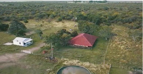 Imagen 14 de 15 de Campo Ganadero