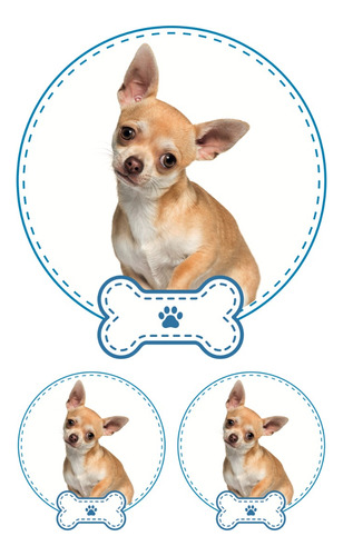 Chihuahua Juego De 3 Calcomanias De Tu Mascota Favorita Niño