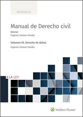 MANUAL DE DERECHO CIVIL VII. DERECHO DE DAÃÂOS, de Llamas Pombo, Eugenio. Editorial La Ley, tapa blanda en español