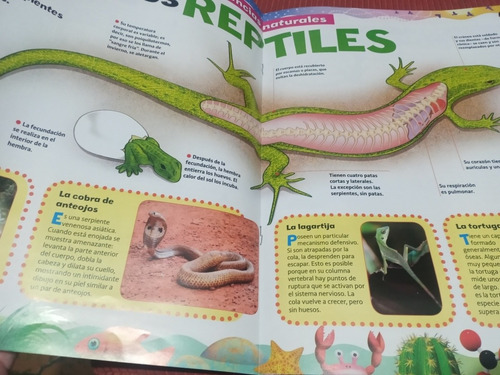 Suplemento Revista Genios Libro Para El Cole 24 Los Reptiles (Usado)