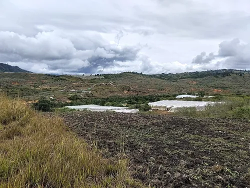 Restrepo, 11 Plazas, Terreno Agricola