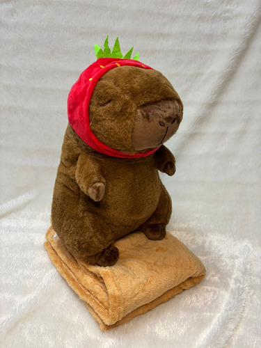 Peluche Capibara Carpincho Con Manta Varios Modelos 40cm Capibara Con Capucha Frutilla