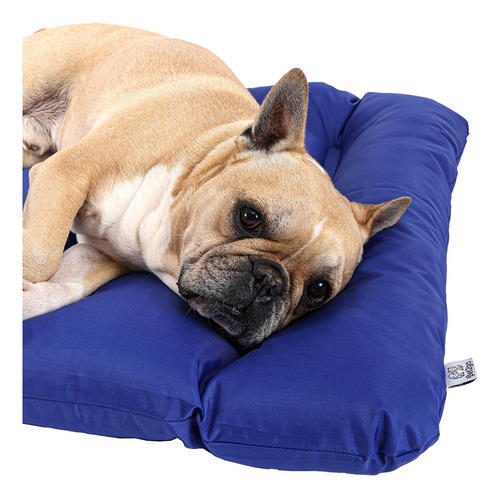 Cama Perro Pet2go® Portátil Viaje - Enrollable 90x65cm Color Azul