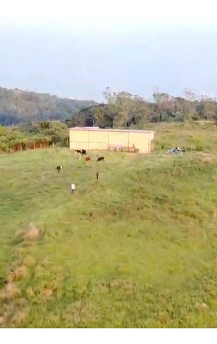 Imagen 13 de 13 de Finca En Venta Via Casa Del Padre Tachira Naciente Vialidad Excelente