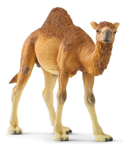 Schleich Wild Life - Figura De Juguete Dromedario De Camello