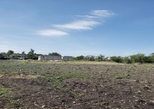 Terreno En Venta En Pie De Gallo