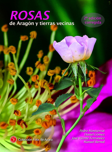 Libro: Rosas De Aragón Y Tierras Vecinas: 2ª Edición Corregi