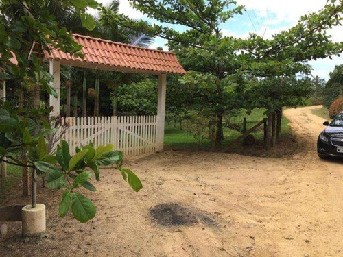 Imagem 6 de 29 de Excelente Chacara Em Camboríú. 100% Plana.lagos De Peixes - Dv019 - 3092046