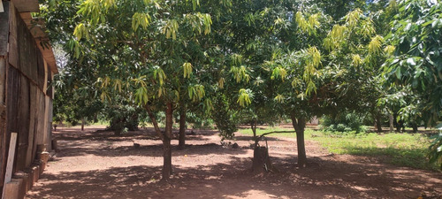 Chacara 31.400m2 Com Casa Bauru