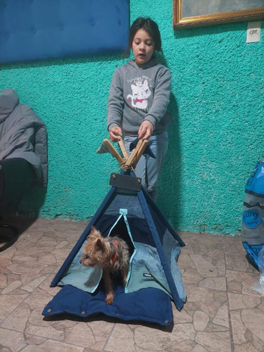 Carpa De Gato, Perro Con Colchón, Excelente Estado