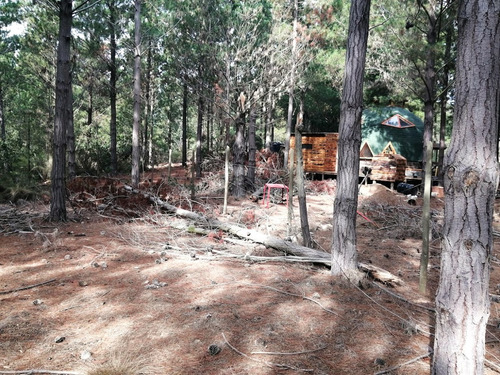 Vende 2 Parcelas, Altos De Quintay, Comuna Casablanca