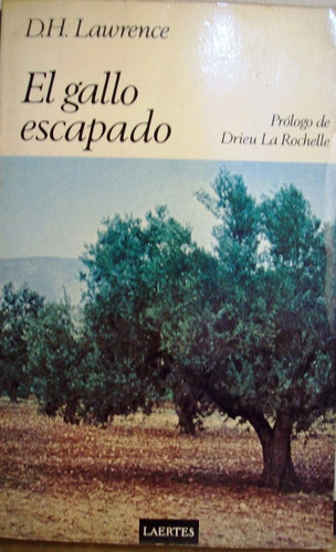 El Gallo Escapado - D H Lawrence - Relato - Laertes - 1980