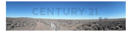Imagen 4 de 15 de Venta Campo Productivo En La Pre-cordillera De 10623 Hectareas Cria De Ganado