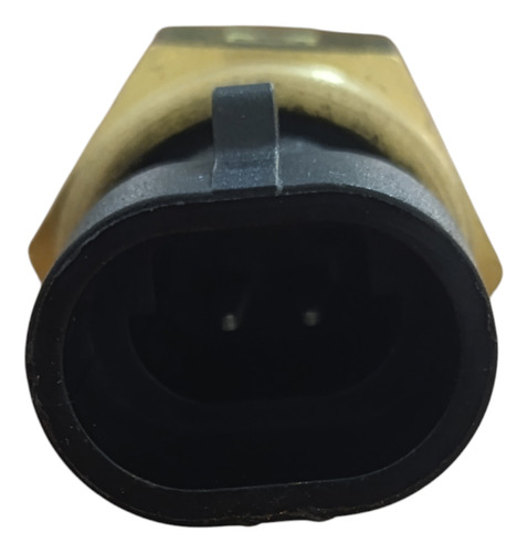 Sensor De Temperatura Blazer Omega S10