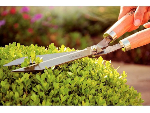 Imagem 5 de 6 de Tesoura Para Jardinagem Com Cabo De Madeira Tramontina 30260