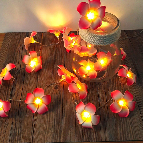 Frangipani Led Cadena Luz Artificial De Espuma Plumeria Flor