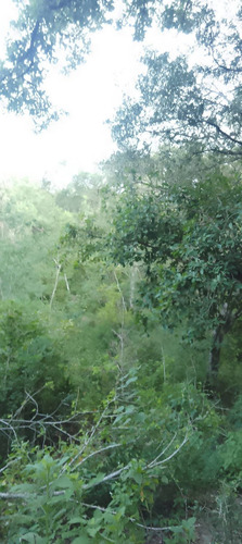 Venta De Terreno En Quintana Roo