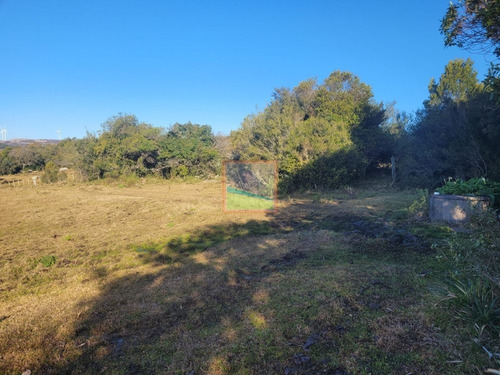 Imagen 16 de 20 de Chacra 14 Hás Con Casa Y Galpón Maldonado