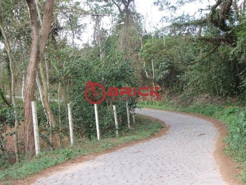 Imagem 5 de 10 de Ótimo Terreno Em Aclive De 2.330 M² Na Fazenda Suíça - Te00303 - 34701416