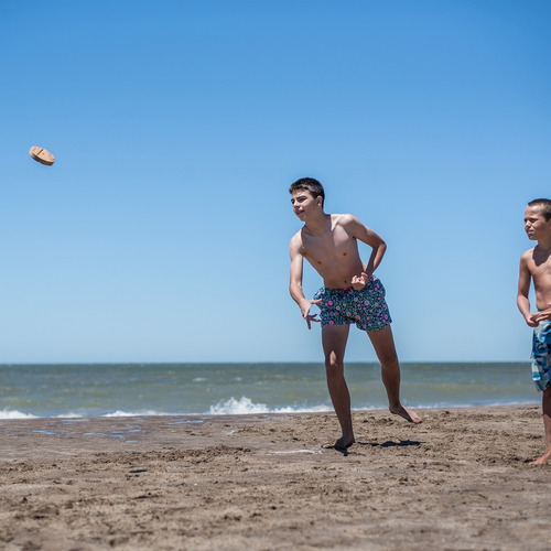 Imagen 4 de 6 de Tejo Playero Con Gancho Para Transporte De Madera Grande