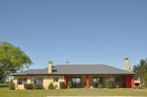 Imagen 3 de 30 de Venta Campo 19has Torres Lujan