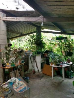 Imagem 3 de 14 de Chácara Com 1 Dorm E Área De 2500m² Total 7715
