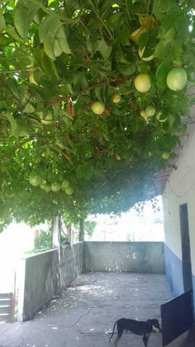 Imagen 17 de 30 de Lotes De Terreno La Esperanza Calabozo Guarico