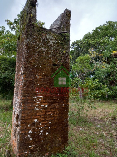 Imagem 22 de 30 de Terreno À Venda Em Iguape Sp Medindo 4 Alqueires Paulista Ref0940