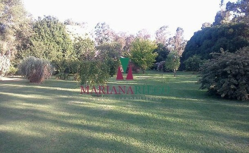 Imagen 14 de 30 de Importante Casa Quinta