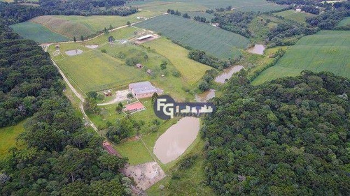 Imagem 4 de 20 de Chácara Com 5 Dormitórios À Venda, 51000 M² Por R$ 1.399.000,00 - Cardoso - Lapa/pr - Ch0045