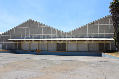 Bodegas En Venta 50,000 M2, Complejo Cerca Autopista Mex-pue, Tlaxcala