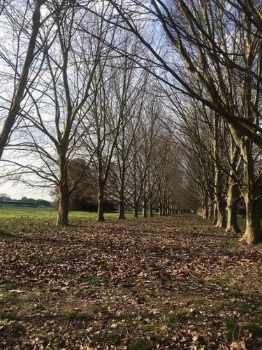 Imagen 5 de 6 de Lotes De Terreno - Venta - Haras San Pablo - Oportunidad - General Rodriguez Financia
