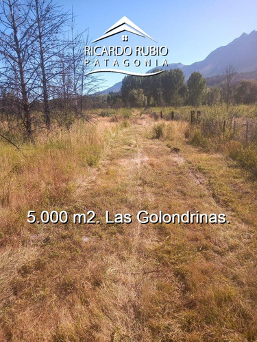 Terreno En  Las Golondrinas